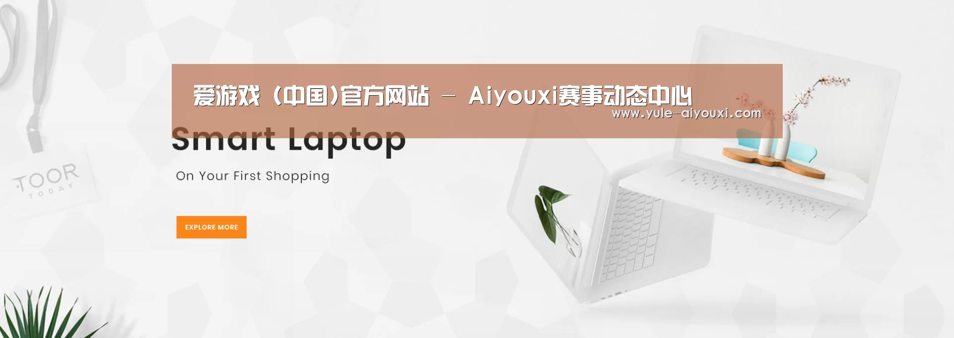 某某网络科技有限公司