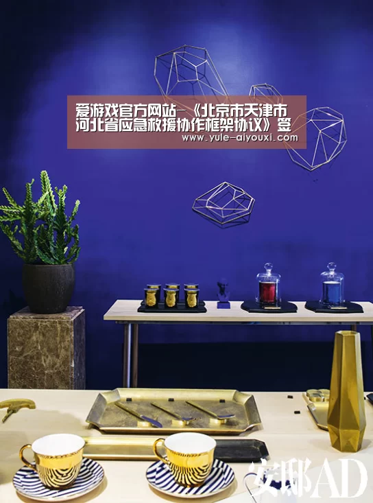 爱游戏官方网站-《北京市天津市河北省应急救援协作框架协议》签订(图2) 爱游戏官网